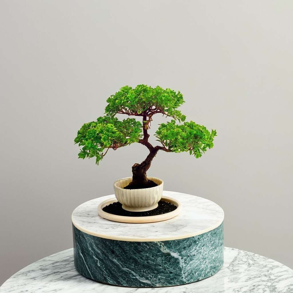 Artificial Red and Green for Home Decorarion Tree with Pot for Home Center Livingroom Table Shelf Entrance Office (Pack Of 2) (RV-AP13)