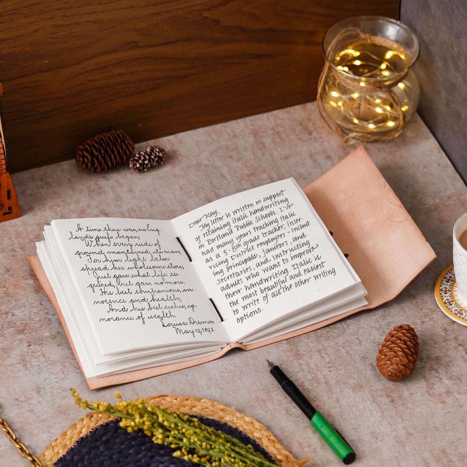 Diary view 3